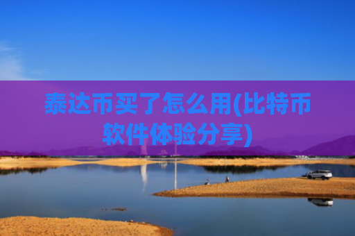 泰达币买了怎么用(比特币软件体验分享)