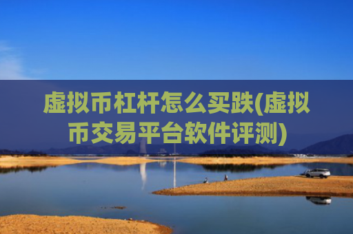 虚拟币杠杆怎么买跌(虚拟币交易平台软件评测)