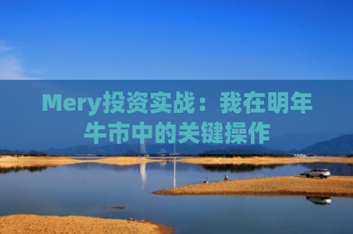 Mery投资实战：我在明年牛市中的关键操作