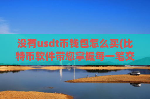 没有usdt币钱包怎么买(比特币软件带您掌握每一笔交易)