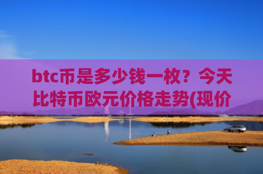 btc币是多少钱一枚？今天比特币欧元价格走势(现价712422.09元)