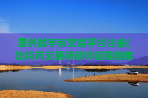 国外数字币交易平台注册(比特币交易所软件使用指南)