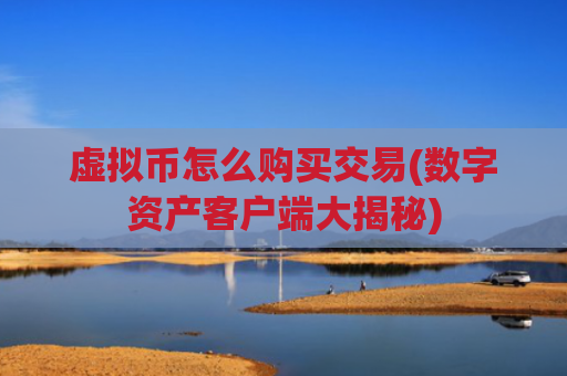 虚拟币怎么购买交易(数字资产客户端大揭秘)