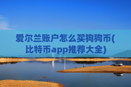 爱尔兰账户怎么买狗狗币(比特币app推荐大全)