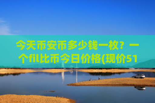 今天币安币多少钱一枚？一个fil比币今日价格(现价5117.33元)