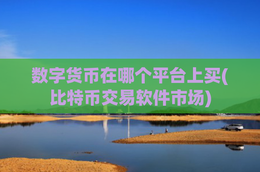 数字货币在哪个平台上买(比特币交易软件市场)