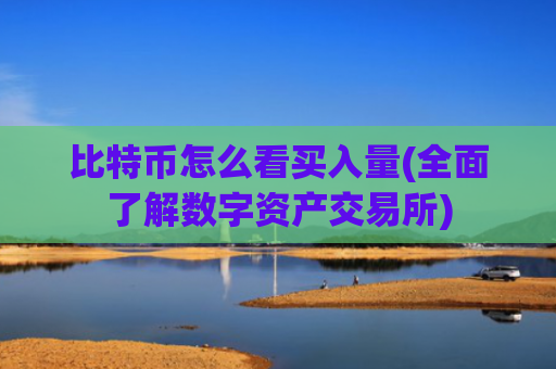 比特币怎么看买入量(全面了解数字资产交易所)