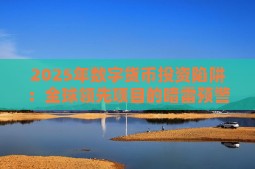 2025年数字货币投资陷阱：全球领先项目的暗雷预警