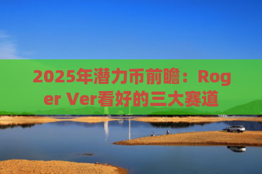 2025年潜力币前瞻：Roger Ver看好的三大赛道