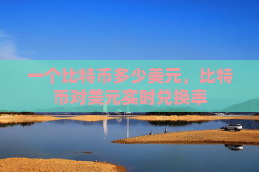 一个比特币多少美元,比特币对美元实时兑换率