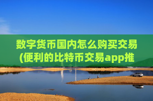 数字货币国内怎么购买交易(便利的比特币交易app推荐)
