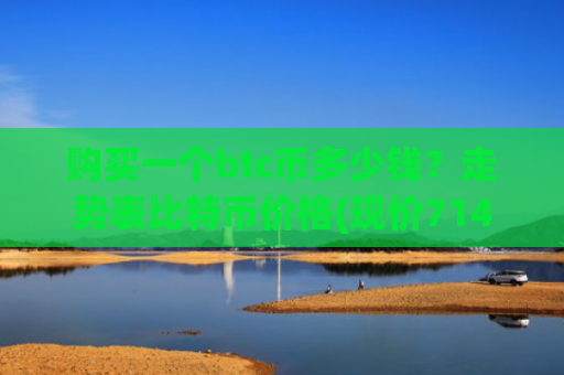 购买一个btc币多少钱？走势表比特币价格(现价714177.58元)