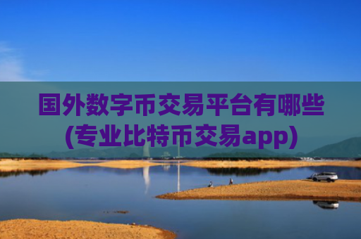 国外数字币交易平台有哪些(专业比特币交易app)