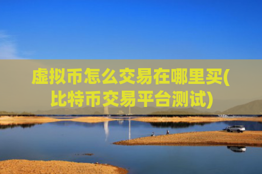 虚拟币怎么交易在哪里买(比特币交易平台测试)