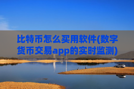 比特币怎么买用软件(数字货币交易app的实时监测)