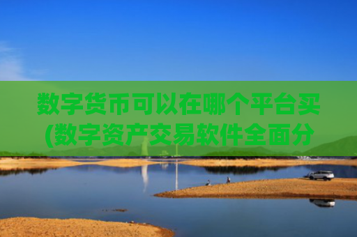 数字货币可以在哪个平台买(数字资产交易软件全面分析)
