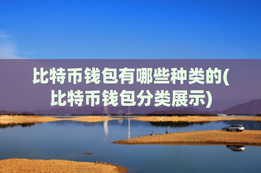 比特币钱包有哪些种类的(比特币钱包分类展示)