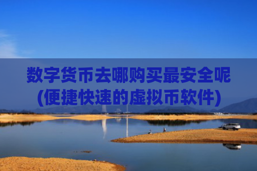 数字货币去哪购买最安全呢(便捷快速的虚拟币软件)