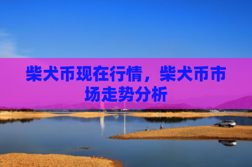 柴犬币现在行情,柴犬币市场走势分析