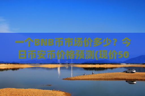 一个BNB币市场价多少?今日币安币价格预测(现价5058.97元)