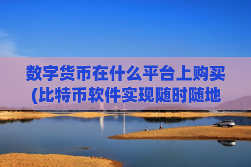 数字货币在什么平台上购买(比特币软件实现随时随地交易)