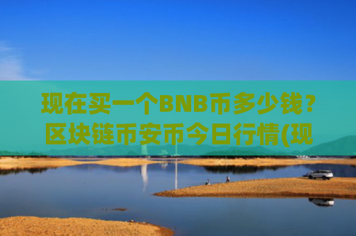 现在买一个BNB币多少钱?区块链币安币今日行情(现价5085.45元)