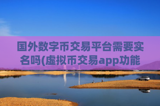 国外数字币交易平台需要实名吗(虚拟币交易app功能评测)
