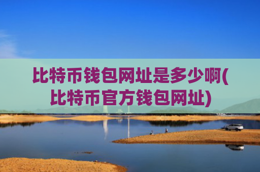比特币钱包网址是多少啊(比特币官方钱包网址)