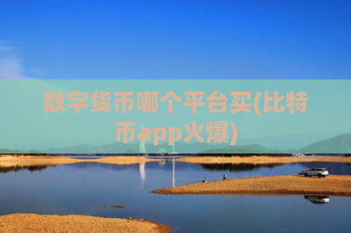 数字货币哪个平台买(比特币app火爆)