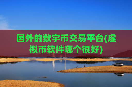 国外的数字币交易平台(虚拟币软件哪个很好)