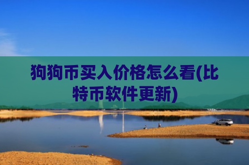 狗狗币买入价格怎么看(比特币软件更新)