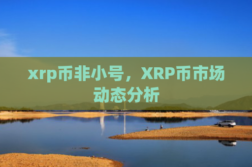 xrp币非小号，XRP币市场动态分析