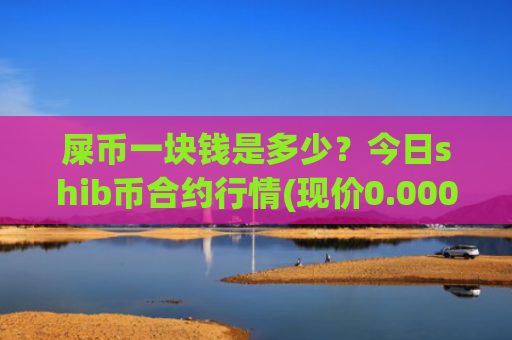 屎币一块钱是多少?今日shib币合约行情(现价0.00022454元)