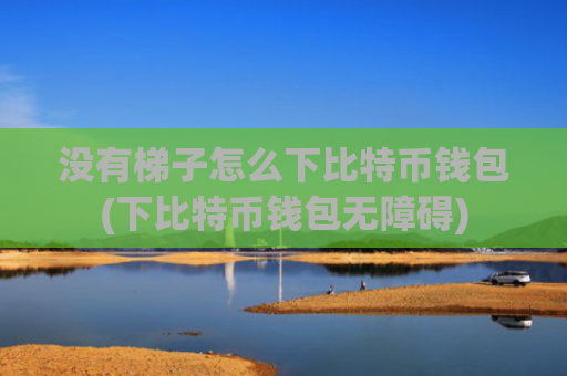 没有梯子怎么下比特币钱包(下比特币钱包无障碍)