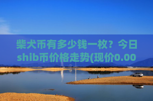 柴犬币有多少钱一枚？今日shib币价格走势(现价0.00023156元)