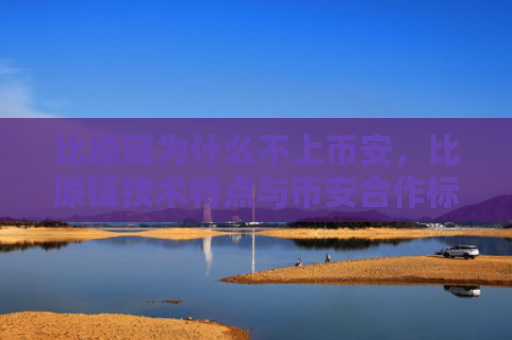 比原链为什么不上币安，比原链技术特点与币安合作标准