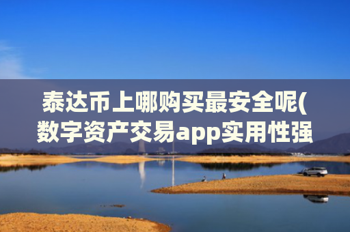 泰达币上哪购买最安全呢(数字资产交易app实用性强)