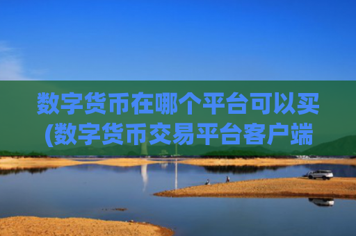 数字货币在哪个平台可以买(数字货币交易平台客户端使用)