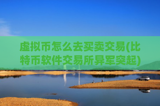 虚拟币怎么去买卖交易(比特币软件交易所异军突起)