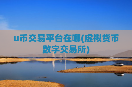 u币交易平台在哪(虚拟货币数字交易所)