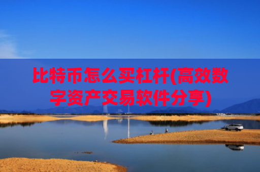 比特币怎么买杠杆(高效数字资产交易软件分享)