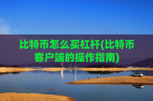 比特币怎么买杠杆(比特币客户端的操作指南)
