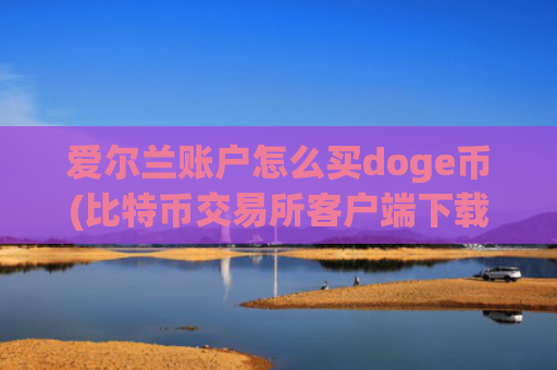 爱尔兰账户怎么买doge币(比特币交易所客户端下载)