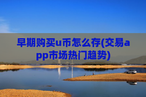 早期购买u币怎么存(交易app市场热门趋势)