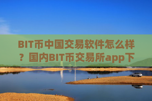 BIT币中国交易软件怎么样？国内BIT币交易所app下载去向