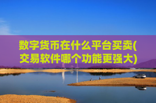 数字货币在什么平台买卖(交易软件哪个功能更强大)