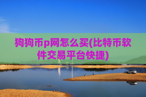 狗狗币p网怎么买(比特币软件交易平台快捷)