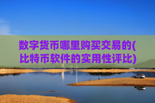 数字货币哪里购买交易的(比特币软件的实用性评比)