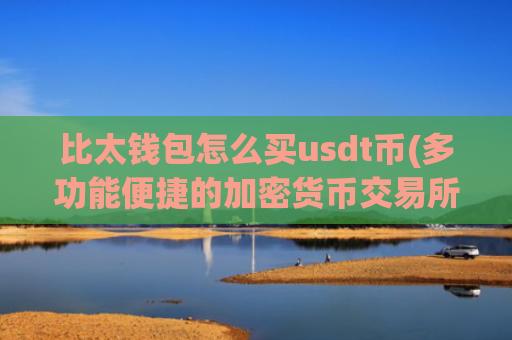 比太钱包怎么买usdt币(多功能便捷的加密货币交易所)
