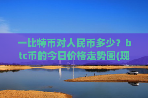 一比特币对人民币多少？btc币的今日价格走势图(现价717713.34元)